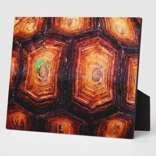 亀の甲 フォトプラーク (側面)