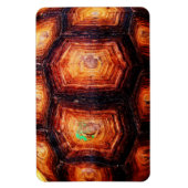 亀の甲 マグネット (縦)