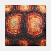 亀の甲 マグネット (正面)