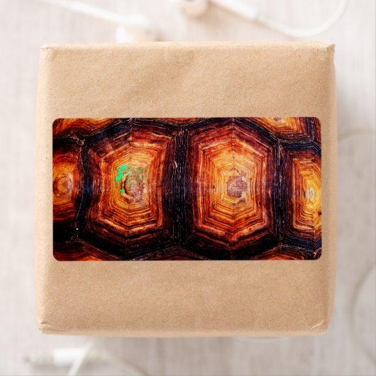 亀の甲 ラベル (インサイチュ)