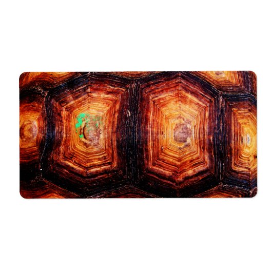 亀の甲 ラベル (正面)