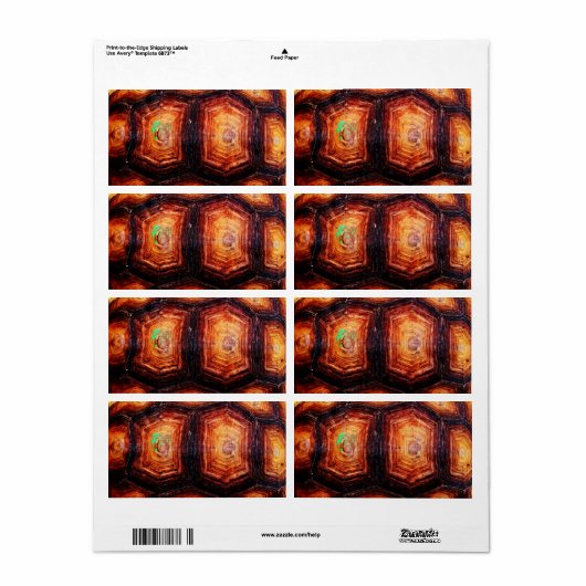 亀の甲 ラベル (フルシート)