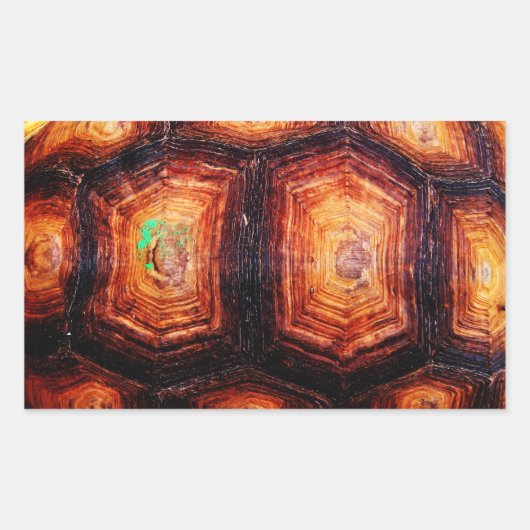 亀の甲 長方形シール (正面)