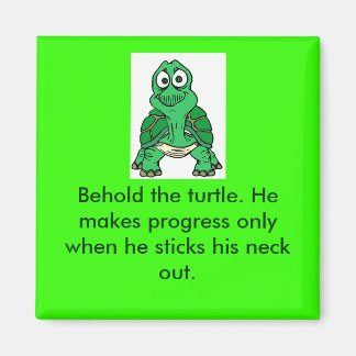 亀の真実 マグネット