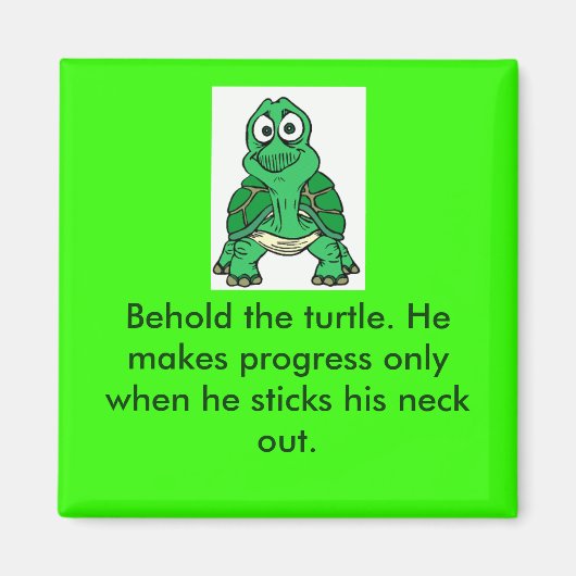 亀の真実 マグネット (正面)