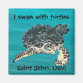 亀の磁石 マグネット (正面)