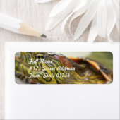 亀の識別の宛名ラベル ラベル (インサイチュ)