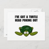 亀の頭が突き出ている ポストカード (正面/裏面)