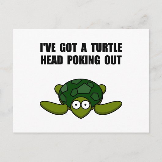 亀の頭が突き出ている ポストカード (正面)