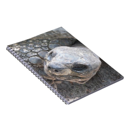 亀の顔 ノートブック (右側)
