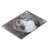 亀の顔 ノートブック (左側)