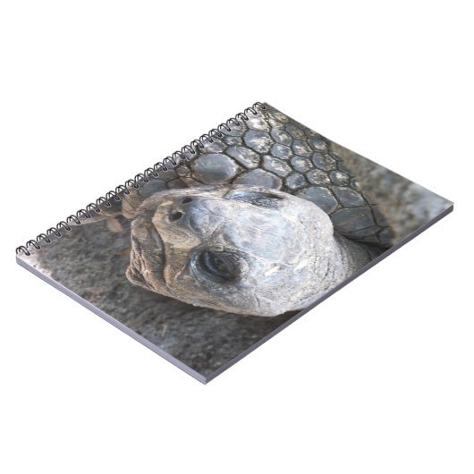 亀の顔 ノートブック (左側)