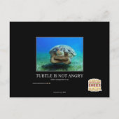 亀は怒ない ポストカード (正面)