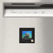 亀は怒ない マグネット (インサイチュ (食洗機))