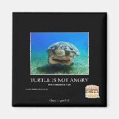 亀は怒ない マグネット (正面)