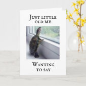 亀は私に「あなたの誕生日は特別だ」と言う! カード (黄色い花)