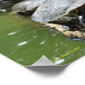 亀を並べる ポスター (角)