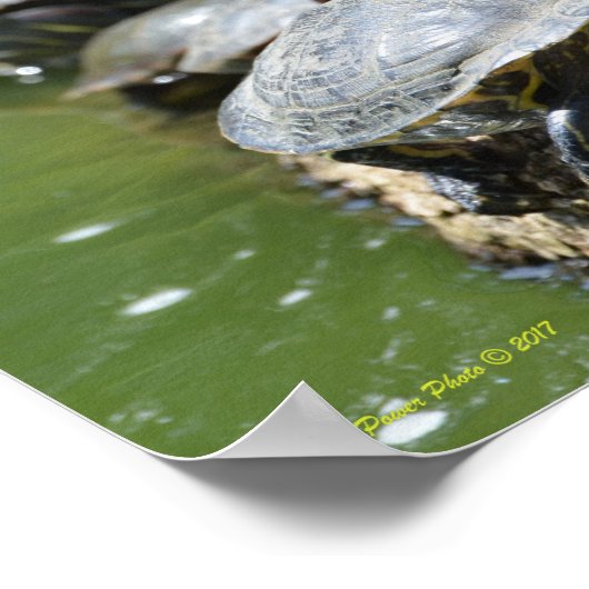 亀を並べる ポスター (角)