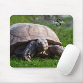 亀マウスマット マウスパッド (マウス)