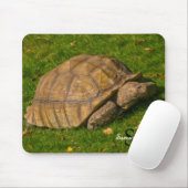亀マウスマット マウスパッド (マウス)