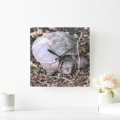 亀時計 スクエア壁時計 (ホーム)