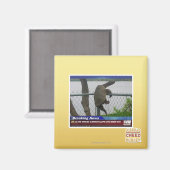 亀甲亀 マグネット (正面/裏面)