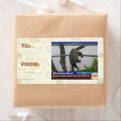 亀甲亀 ラベル (インサイチュ)