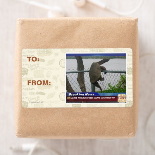 亀甲亀 ラベル (インサイチュ)