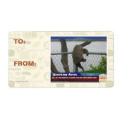 亀甲亀 ラベル (正面)