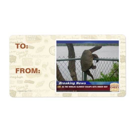 亀甲亀 ラベル (正面)