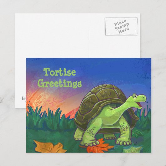 亀甲文房具 ポストカード (正面/裏面)