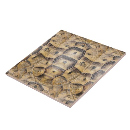 亀甲模様 タイル (側面)