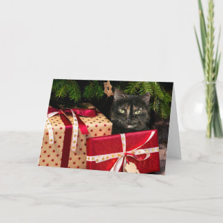 亀甲猫クリスマス シーズンカード