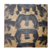 亀甲 タイル (正面)