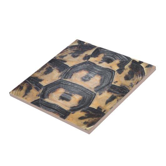 亀甲 タイル (側面)