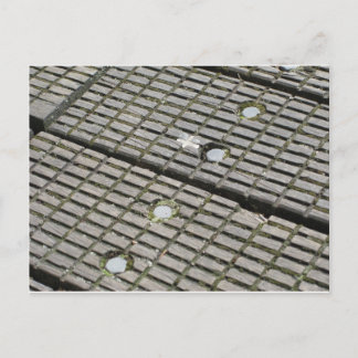 亀裂の間に秋を起こさない ポストカード