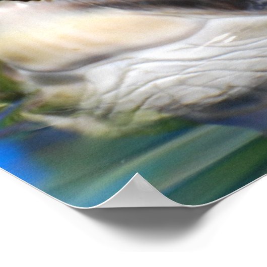 亀頭 ポスター (角)