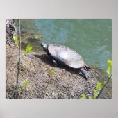 亀2 ポスター (正面)