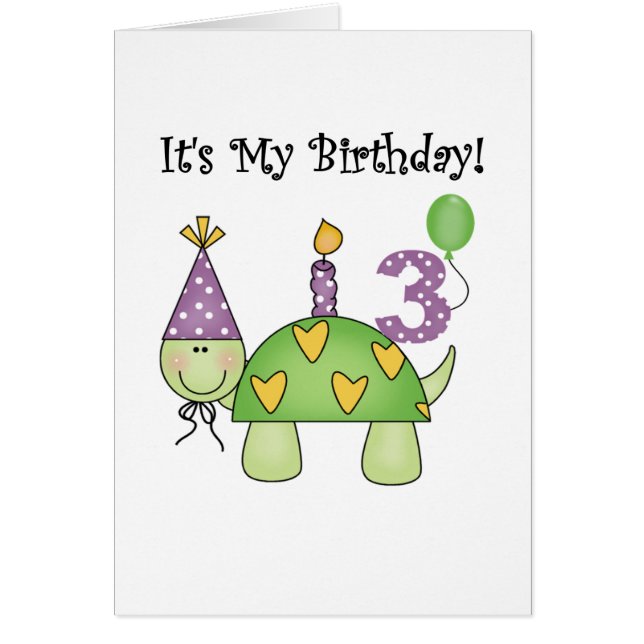 亀3歳の誕生日Tシャツとギフト (正面)