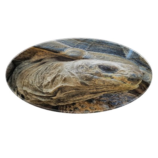 亀 カッティングボード (角)