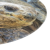 亀 カッティングボード (角)