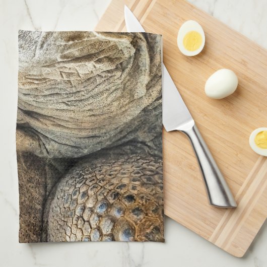 亀 キッチンタオル (四つ折り)