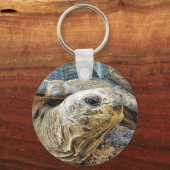 亀 キーホルダー (正面)