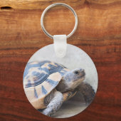 亀 キーホルダー (正面)
