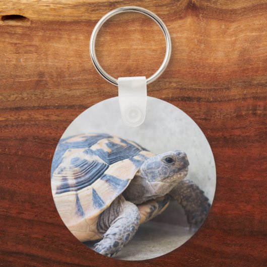 亀 キーホルダー (正面)