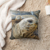 亀 クッション (ブランケット)