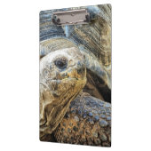 亀 クリップボード (左)