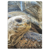 亀 クリップボード (裏面)