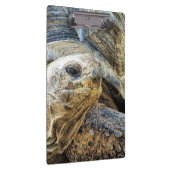 亀 クリップボード (右)