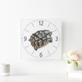 亀 スクエア壁時計 (ホーム)